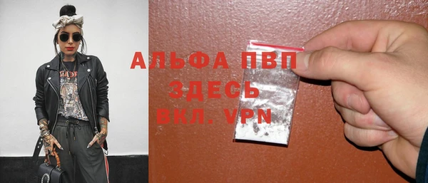 спиды Новокубанск