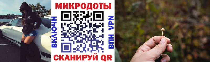 Псилоцибиновые грибы Psilocybine cubensis Олонец